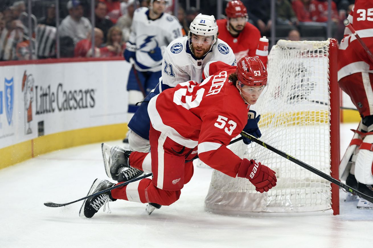 Tampa Bay Lightning v Detroit Red Wings