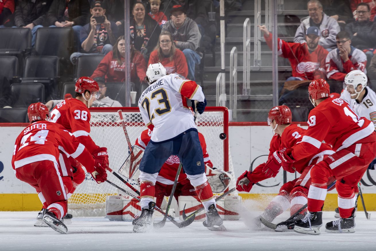 Florida Panthers v Detroit Red Wings