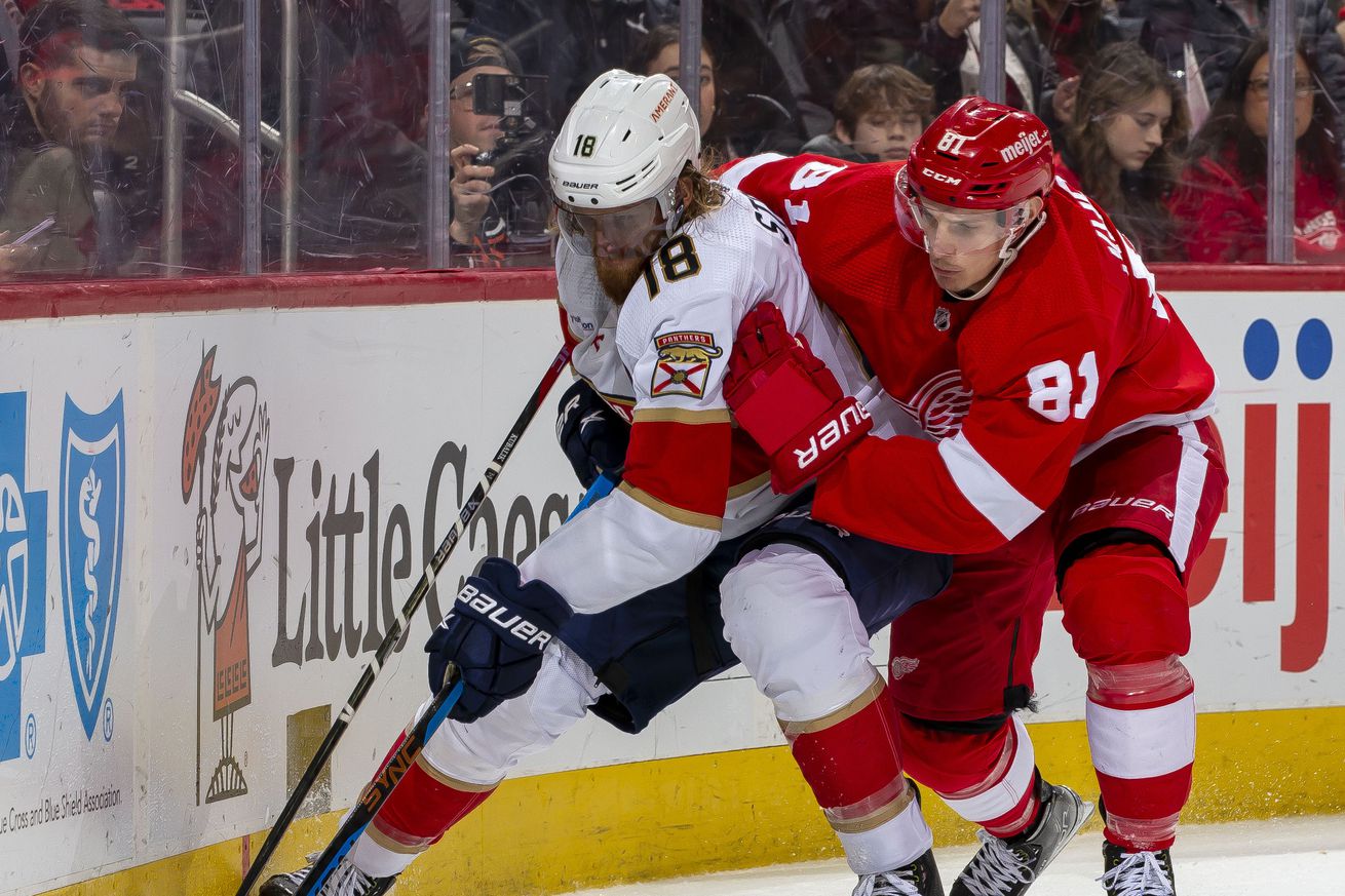 Florida Panthers v Detroit Red Wings