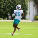 Dolphins Training Camp