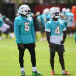 miami dolphins training camp