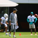 Dolphins News