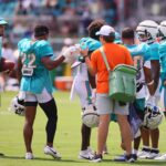 Dolphins Depth Chart