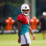 dolphins training camp